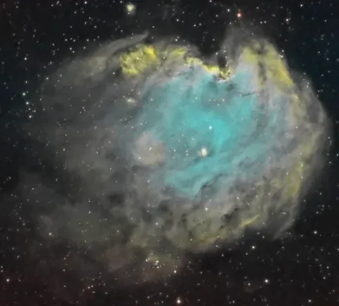 NGC 2174 Monkey Head Nebula