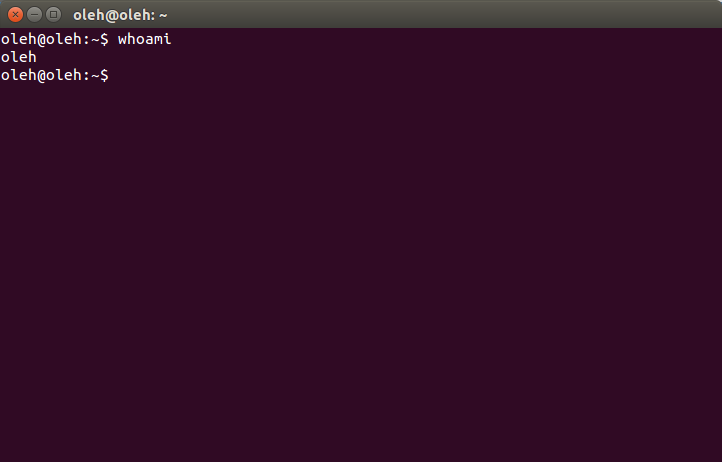 ubuntu_terminal.png